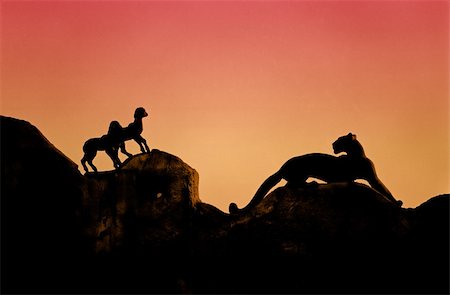 Silhouette of panther hunting lambs Stock Photo - Budget Royalty-Free & Subscription, Code: 400-04461944