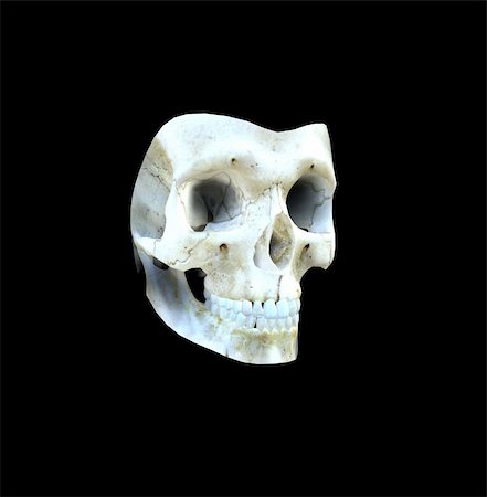 simsearch:400-06394180,k - A scary looking skull up close. Stock Photo - Budget Royalty-Free & Subscription, Code: 400-04474027