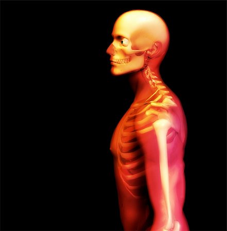 simsearch:400-06394180,k - An x ray image of a man in which you can see the Skelton under the skin. Stock Photo - Budget Royalty-Free & Subscription, Code: 400-04474157