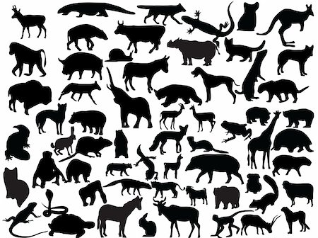 simsearch:400-04280168,k - Vectors silhouettes of different animals. Stock Photo - Budget Royalty-Free & Subscription, Code: 400-04477651