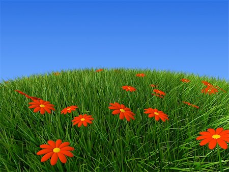 3d rendered illustration of a green hill with flowers Stock Photo - Budget Royalty-Free & Subscription, Code: 400-04479308