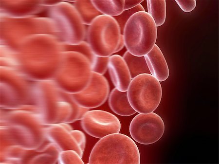simsearch:400-05016219,k - 3d rendered close up of many streaming red blood cells Stock Photo - Budget Royalty-Free & Subscription, Code: 400-04479756