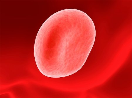 simsearch:400-05016219,k - 3d rendered close up of one red blood cell Stock Photo - Budget Royalty-Free & Subscription, Code: 400-04479792