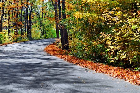 simsearch:400-04909150,k - Curving road in a colorful fall forest Stock Photo - Budget Royalty-Free & Subscription, Code: 400-04470022