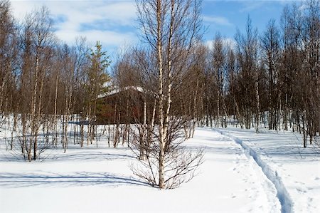 A cabin in the forest on a winter landscape. Stock Photo - Budget Royalty-Free & Subscription, Code: 400-04470063