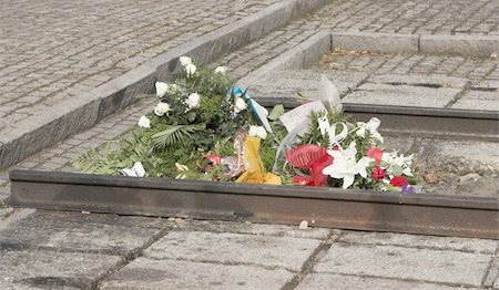 Flower at the memory plate Birkenau concentration camp. 2007 Stock Photo - Budget Royalty-Free & Subscription, Code: 400-04470951