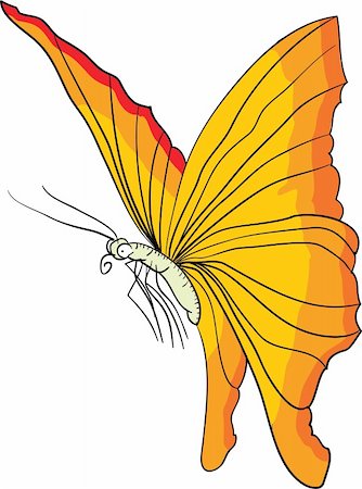 simsearch:400-07518693,k - Illustration of a butterfly Stock Photo - Budget Royalty-Free & Subscription, Code: 400-04480008