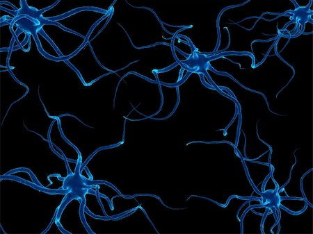 3d rendered close up of isolated nerve cells Foto de stock - Super Valor sin royalties y Suscripción, Código: 400-04480767