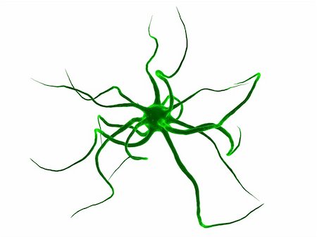 3d rendered illustration of an isolated neuron cell Stock Photo - Budget Royalty-Free & Subscription, Code: 400-04480786