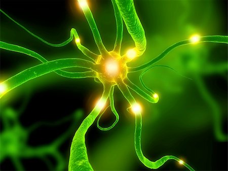3d rendered close up of an active neuron cell Stock Photo - Budget Royalty-Free & Subscription, Code: 400-04481000