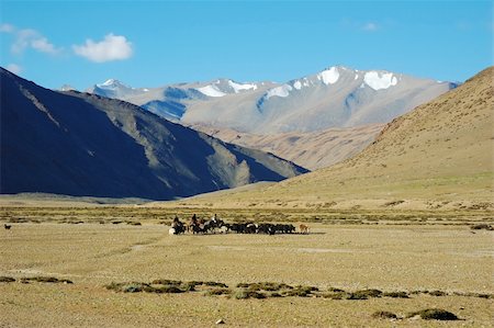 people ladakh - Himalayan nomads populations, along Leh-Manali road, Ladakh, India Stock Photo - Budget Royalty-Free & Subscription, Code: 400-04481532