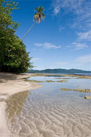 Photo of a beautiful caribbean beach in Costa Rica. Stock Photo - Budget Royalty-Free & Subscription, Code: 400-04481753