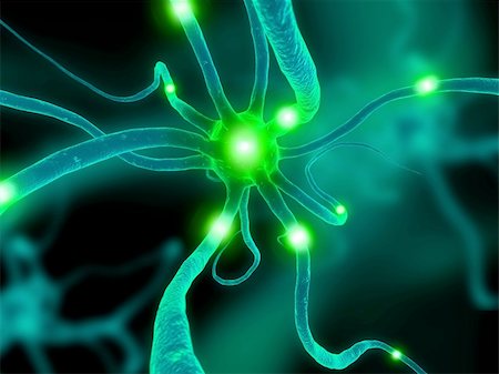 3d rendered close up of an active nerve cell Stock Photo - Budget Royalty-Free & Subscription, Code: 400-04482350