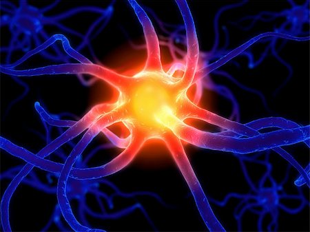 3d rendered illustration of active nerve cells Stock Photo - Budget Royalty-Free & Subscription, Code: 400-04496484