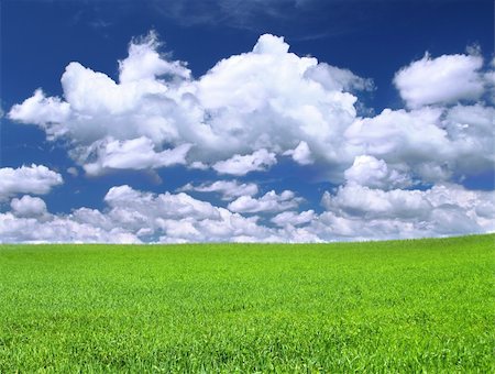 simsearch:400-03991406,k - meadow against summrer sky with cumulus clouds Stock Photo - Budget Royalty-Free & Subscription, Code: 400-04497976