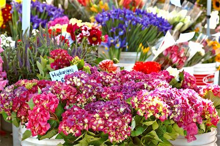 flower sale - Buckets of flowers for sale in a stall at a farmer's market in summer Stock Photo - Budget Royalty-Free & Subscription, Code: 400-04499130