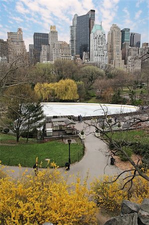 View at New York skyscrapers from Central Park Stock Photo - Budget Royalty-Free & Subscription, Code: 400-04490181