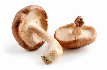 simsearch:400-04824992,k - Two fresh shiitake mushrooms isolated on white background Stock Photo - Budget Royalty-Free & Subscription, Code: 400-04505588
