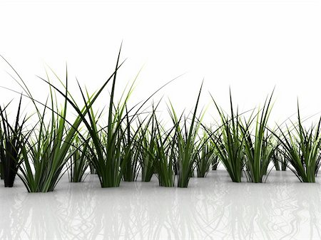 simsearch:400-05362449,k - 3d rendered illustration of simple green grass Stock Photo - Budget Royalty-Free & Subscription, Code: 400-04506990