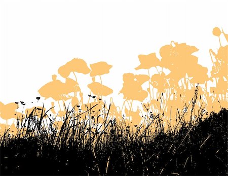 flower field dramatic - Black grass with light orange poppy flowers. Vector Stock Photo - Budget Royalty-Free & Subscription, Code: 400-04507288