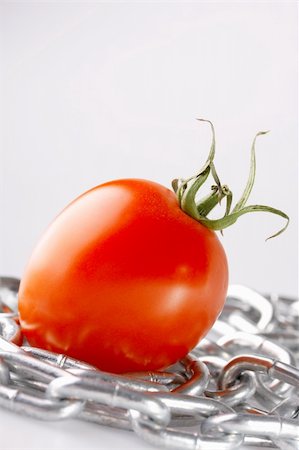simsearch:400-07578126,k - Red tomato with a chain on a white background Stock Photo - Budget Royalty-Free & Subscription, Code: 400-04509865