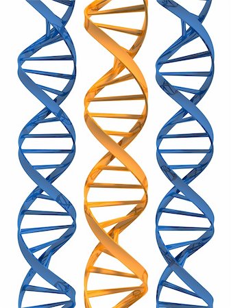 3d rendered illustration of a yellow and two blue double helix Stock Photo - Budget Royalty-Free & Subscription, Code: 400-04514006