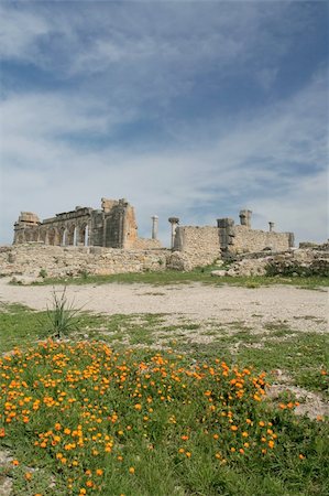 simsearch:400-05720100,k - Calendulas on background of roman ruins in Volubilis, Morocco, Africa. Nice place to see for tourists and travellers Stock Photo - Budget Royalty-Free & Subscription, Code: 400-04515617