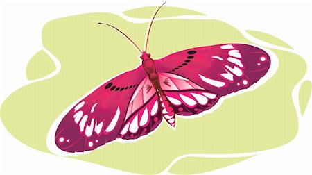 simsearch:400-06912266,k - Illustration  of Butterfly in  fly Stock Photo - Budget Royalty-Free & Subscription, Code: 400-04510009