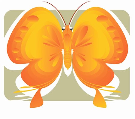 simsearch:400-06912266,k - Illustration  of Butterfly in  Multi Coloured, Stock Photo - Budget Royalty-Free & Subscription, Code: 400-04510011