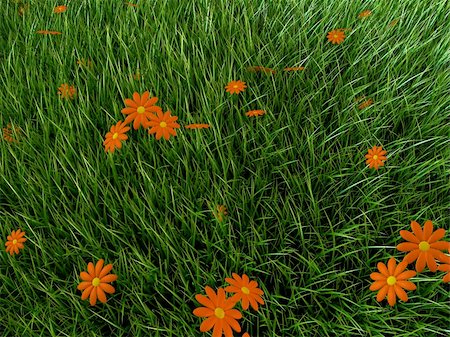 simsearch:400-05362449,k - 3d rendered illustration of a grass field with orange flowers Stock Photo - Budget Royalty-Free & Subscription, Code: 400-04510568