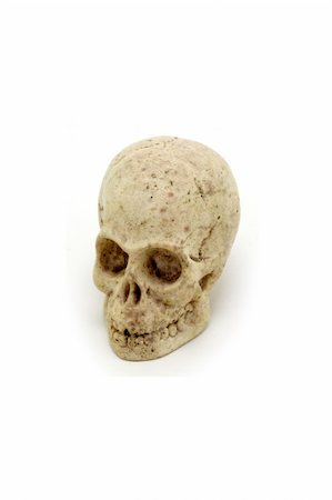 simsearch:400-03971352,k - Isolated shot of a model skull against a white background. Foto de stock - Super Valor sin royalties y Suscripción, Código: 400-04511207