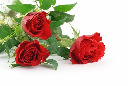 simsearch:400-06141323,k - three beautiful maroon roses with decoration Foto de stock - Super Valor sin royalties y Suscripción, Código: 400-04524537