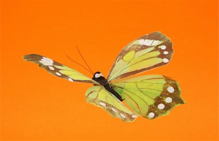 simsearch:400-04259527,k - artificial butterfly in flight against orange background Stock Photo - Budget Royalty-Free & Subscription, Code: 400-04526382