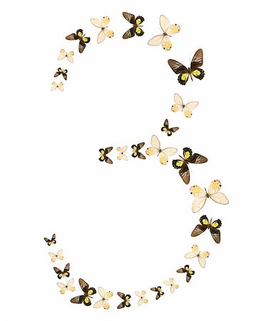 simsearch:400-07518693,k - Three number butterfly show isolated Stock Photo - Budget Royalty-Free & Subscription, Code: 400-04527800