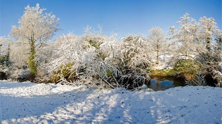 A snow covered rural landscape in the countryside Stock Photo - Budget Royalty-Free & Subscription, Code: 400-04522177