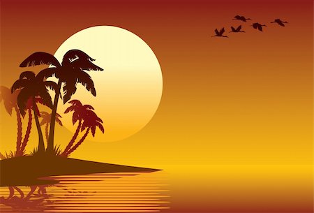 simsearch:400-04062726,k - Tropical island, palm trees on a beach Foto de stock - Super Valor sin royalties y Suscripción, Código: 400-04523992