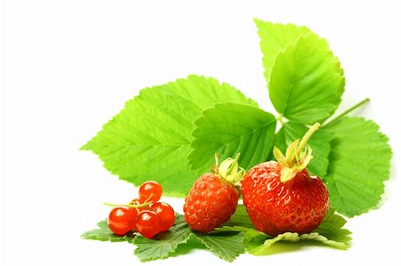 simsearch:400-05370991,k - wild berry isolated on white background Stock Photo - Budget Royalty-Free & Subscription, Code: 400-04535049