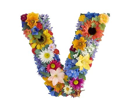 Letter V made of flowers isolated on white background Stock Photo - Budget Royalty-Free & Subscription, Code: 400-04539357