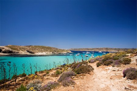 swimming holes - Comino island and the blue lagoon Stock Photo - Budget Royalty-Free & Subscription, Code: 400-04530436