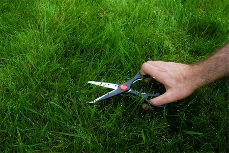 Somebody cutting the grass with a pair of scissors as part of their punishment Stock Photo - Budget Royalty-Free & Subscription, Code: 400-04530940