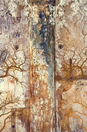 simsearch:400-06107660,k - textured old grungy wall with roots desing Stock Photo - Budget Royalty-Free & Subscription, Code: 400-04533529