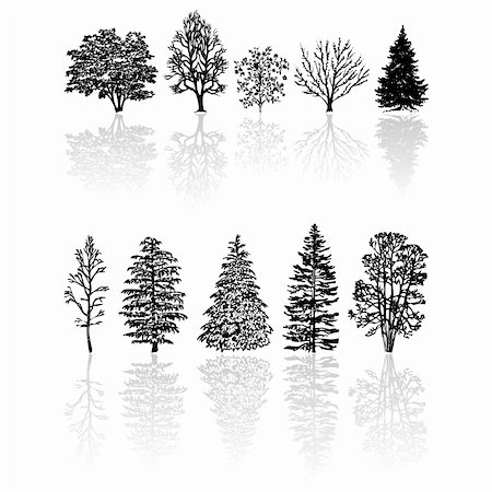 Different kind of silhouettes trees isolated over white Stock Photo - Budget Royalty-Free & Subscription, Code: 400-04545392