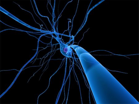 3d rendered close up of a neuron cell Stock Photo - Budget Royalty-Free & Subscription, Code: 400-04545739