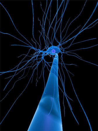 3d rendered close up of a neuron cell Foto de stock - Super Valor sin royalties y Suscripción, Código: 400-04545740