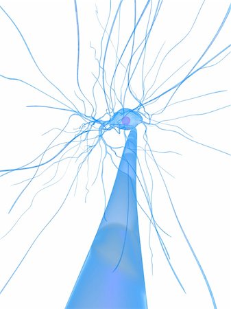 3d rendered close up of a neuron cell Foto de stock - Super Valor sin royalties y Suscripción, Código: 400-04545741