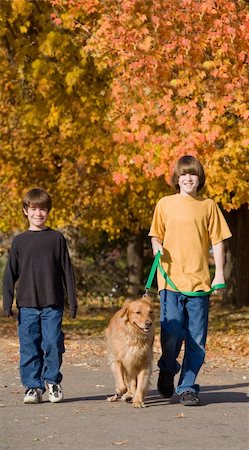 Boys Walking the Dog in the Fall Stock Photo - Budget Royalty-Free & Subscription, Code: 400-04546163