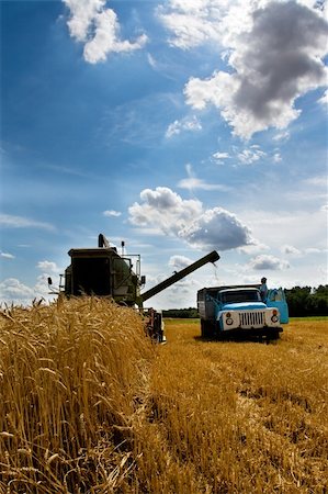 simsearch:649-06401239,k - Combine working in field at harvest time Stock Photo - Budget Royalty-Free & Subscription, Code: 400-04541155