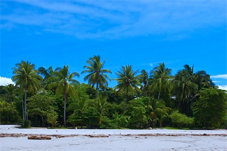 View of a Tropical beach in Manuel Antonio, Costa Rica. Stock Photo - Budget Royalty-Free & Subscription, Code: 400-04559236