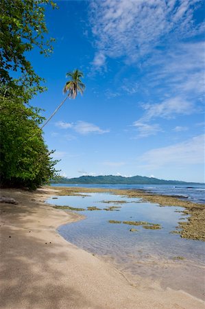 Beautiful view of a beach in the caribean side of Costa Rica. Stock Photo - Budget Royalty-Free & Subscription, Code: 400-04559233