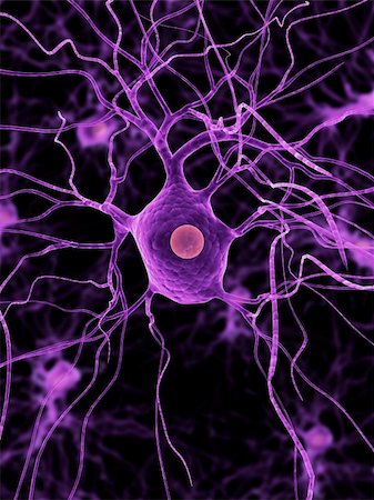 3d rendered close up of an isolated nerve cell Stock Photo - Budget Royalty-Free & Subscription, Code: 400-04553855